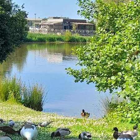 Appartement Renove 2 Pieces Avec Loggia Vue Mer Et Parking A Villers-Sur-Mer - Fr-1-712-7