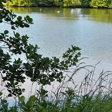 Appartement Renove 2 Pieces Avec Loggia Vue Mer Et Parking A Villers-Sur-Mer - Fr-1-712-7 Вилле-сюр-Мер