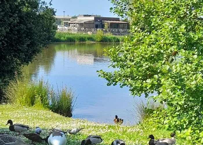 Appartement Renove 2 Pieces Avec Loggia Vue Mer Et Parking A Villers-Sur-Mer - Fr-1-712-7