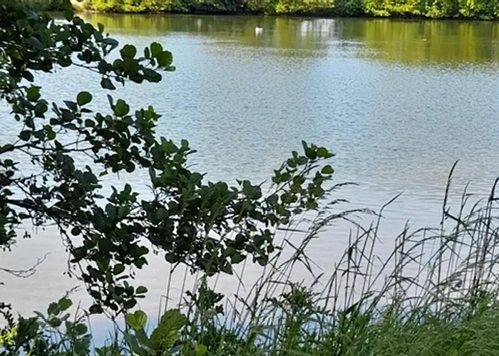 Appartement Renove 2 Pieces Avec Loggia Vue Mer Et Parking A Villers-Sur-Mer - Fr-1-712-7 Вилле-сюр-Мер